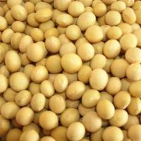 Soya Products